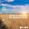 RTC/CCGL e cooperativas atualizam projeção para a safra de trigo no RS