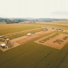 Cooperoque realiza Tarde de Campo - Trigo 2021