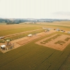 Cooperoque realiza Tarde de Campo - Trigo 2021