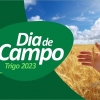 Cooperoque realiza Dia de Campo de Trigo no dia 19