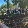 Cooperoque participa de ação do Dia C 2026 com plantio de flores e recuperação de encosta