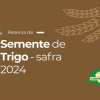 Reserva de Semente de Trigo