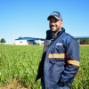 CCGL adiciona setor de Sistemas Integrados de Produção Agropecuária em suas pesquisas