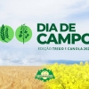 Departamento Técnico se prepara para primeiro Dia de Campo de Canola