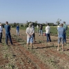 Tour Técnico reúne associados na área demonstrativa