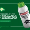 Recolhimento e devolução de embalagens de agrotóxicos