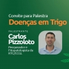 'Doenças em Trigo' será tema de palestra promovida pelo Departamento Técnico